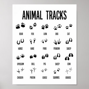 Kids Nature Explorer Animal Tracks Tee For Camping Poster