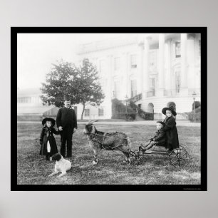 Kids on a Goat Cart at the White House 1890 Poster