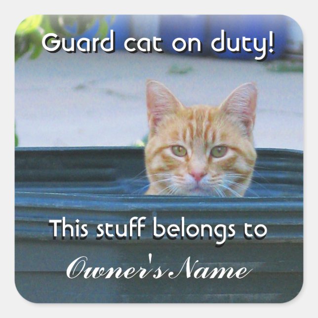 Kid's Personalised Sticker--Guard Cat on Duty Square Sticker (Front)