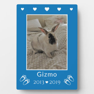 Kids Pet Bunny Rabbit Loss Blue Photo Memorial Plaque