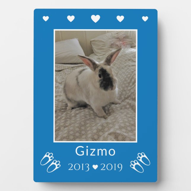 Kids Pet Bunny Rabbit Loss | Blue Photo Memorial Plaque (Front)