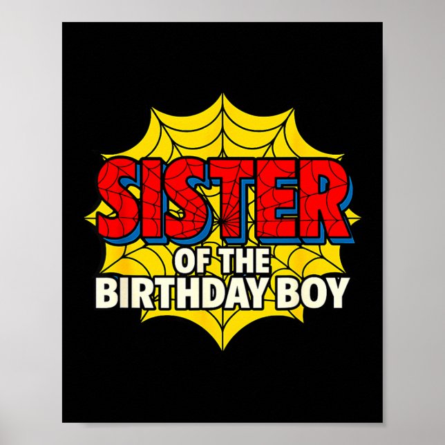 Kids Sister Of The Birthday Boy Sder Theme Party M Poster (Front)