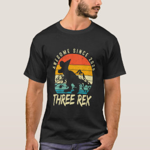 Kids Three Rex 3rd Birthday Boy Third Dinosaur Awe T-Shirt