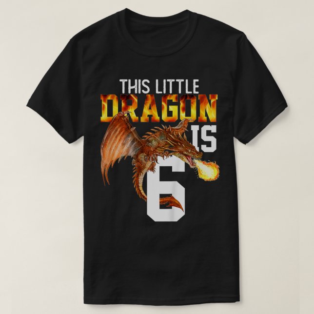 Kids Turning 6 Year Old Birthday Gift Boy Dragon 6 T-Shirt (Design Front)