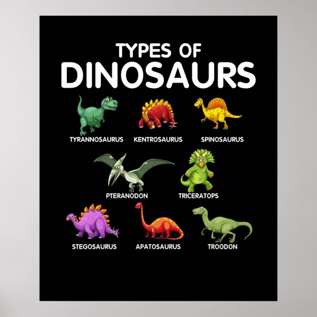 Kids Types Of Dinosaurs Dino Identification Poster (Front)