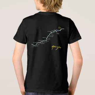 Kid's Version 2 Tri-Blend Shirt