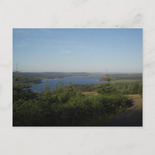 Kielder Water Postcard