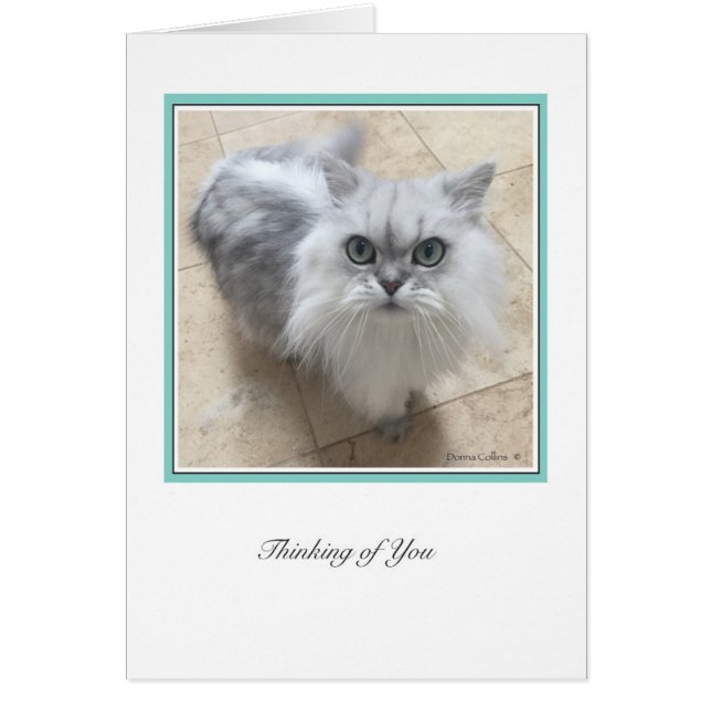 KiKi Ciollection  # 2 (Front)