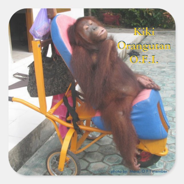 KiKi Orangutan in Her Wheelchair Square Sticker (Front)