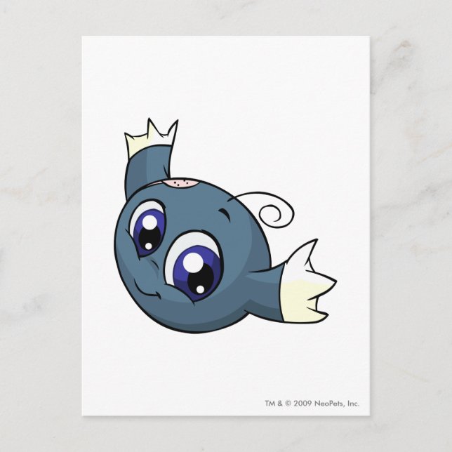 Kiko Blue Postcard (Front)