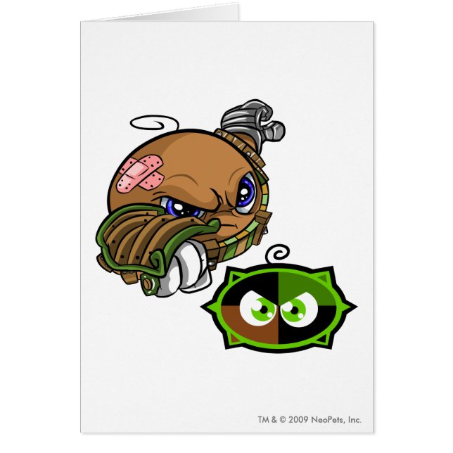 Kiko Lake Team Captain 1 (Front)