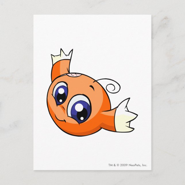 Kiko Orange Postcard (Front)