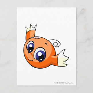 Kiko Orange Postcard