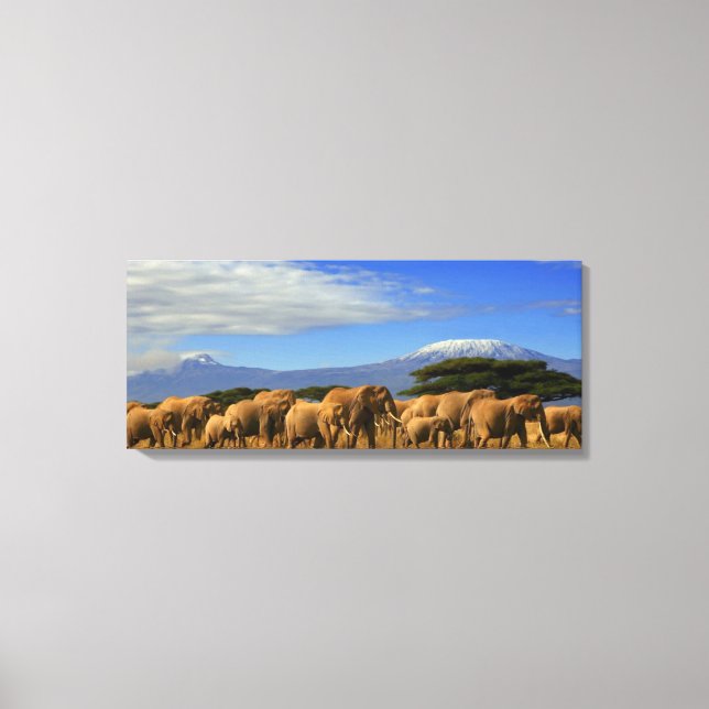 Kilimanjaro And Elephants Canvas Print (Front)