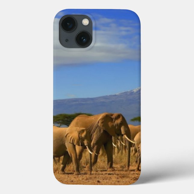 Kilimanjaro And Elephants Case-Mate iPhone Case (Back)