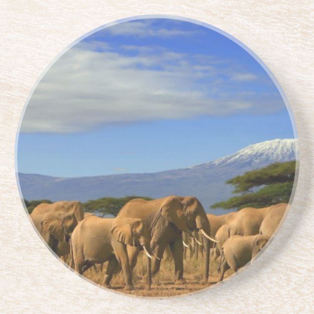 Kilimanjaro And Elephants Coaster (Front)