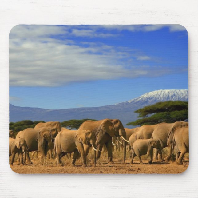 Kilimanjaro And Elephants Mouse Mat (Front)