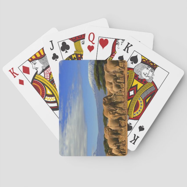 Kilimanjaro And Elephants Playing Cards (Back)
