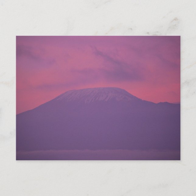Kilimanjaro at Dawn Postcard (Front)