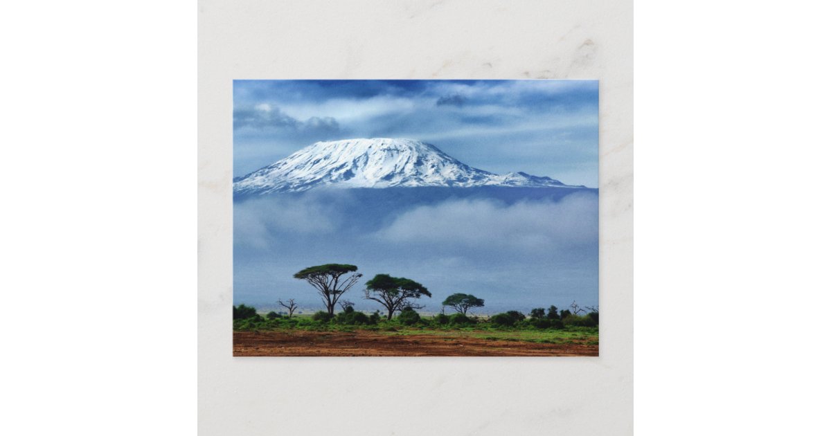 Kilimanjaro Kenya Postcard | Zazzle