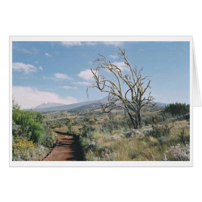 Kilimanjaro Moorlands Card (Front Horizontal)