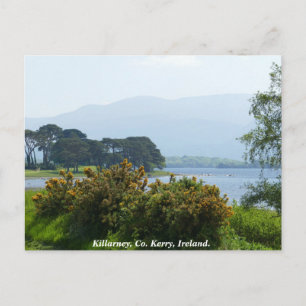 Killarney lakeside, County Kerry, Ireland Postcard