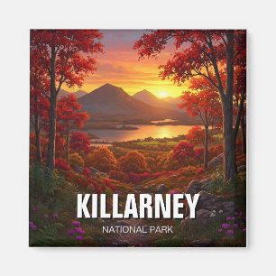 Killarney National Park Ireland Travel Magnet