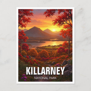 Killarney National Park Ireland Travel Postcard