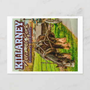 KILLARNEY NATIONAL PARK - KILLARNEY IRELAND POSTCARD