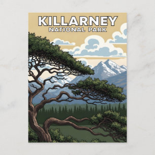 Killarney national park vintage travel postcard