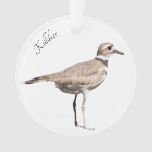 Killdeer Bird Ornament