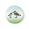 Killdeer & chick