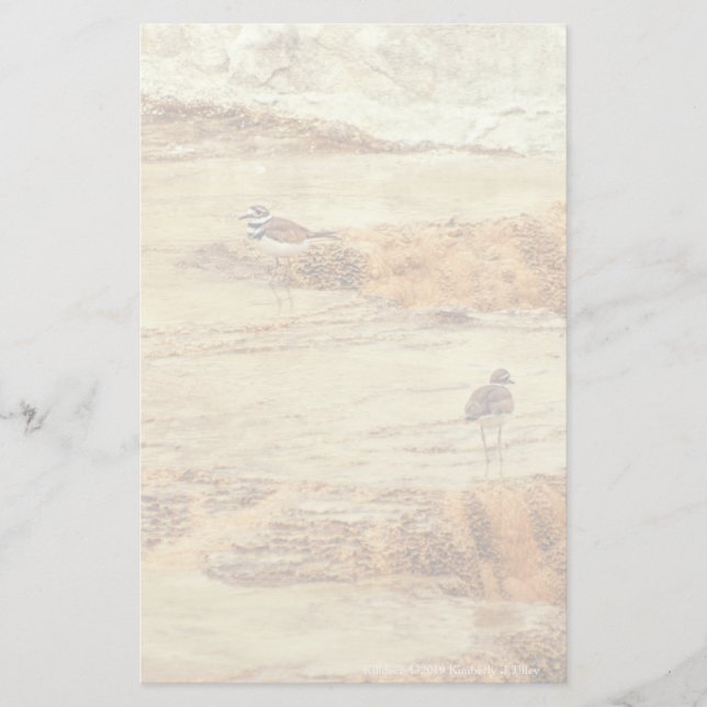 Killdeer Stationery (Front)