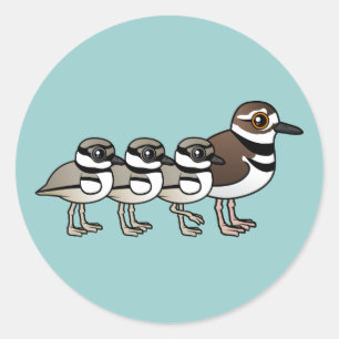 Killdeer & three chicks classic round sticker