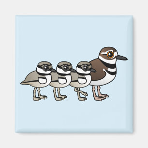 Killdeer & three chicks magnet