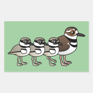 Killdeer & three chicks rectangular sticker