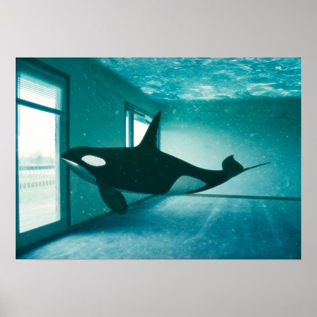 Killer Apartment Poster (Front)