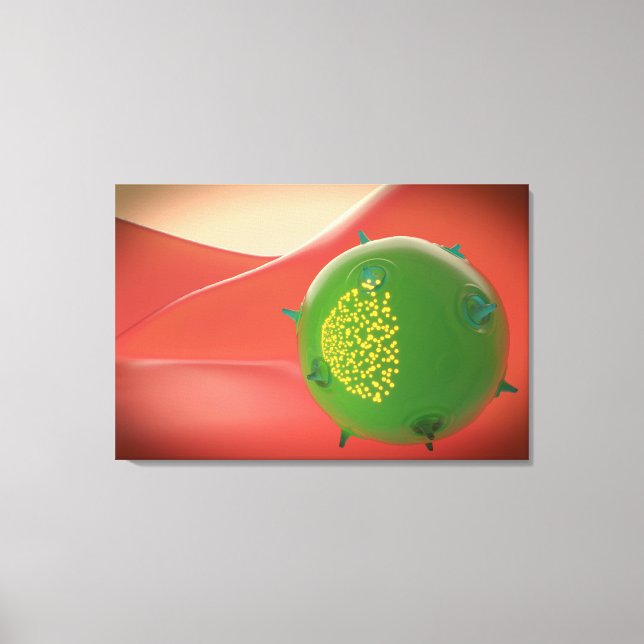 Killer Cell Of The Innate Immune System Canvas Print (Front)