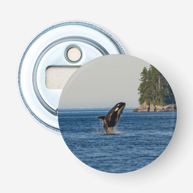 Killer Whale Breaching out of Ocean Water Bottle Opener (Front)