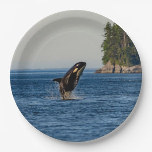 Killer Whale Breaching out of Ocean Water Paper Plate