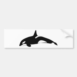 Killer Whale Bumper Sticker