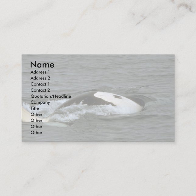 Killer whale business card (Front)