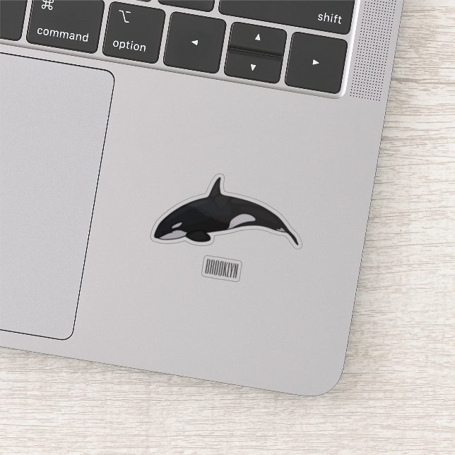 Killer whale cartoon illustration (Detail)
