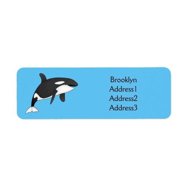 Killer whale cartoon illustration  (Front)