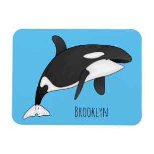 Killer whale cartoon illustration  magnet