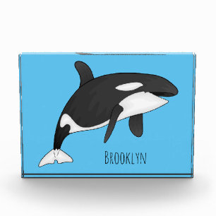 Killer whale cartoon illustration photo block