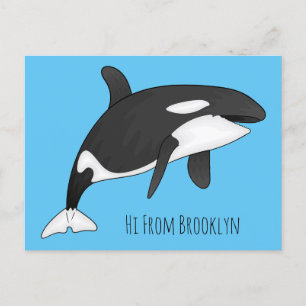 Killer whale cartoon illustration postcard
