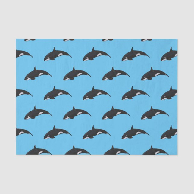 Killer whale cartoon illustration tissue paper (Front)