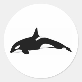 Killer Whale Classic Round Sticker