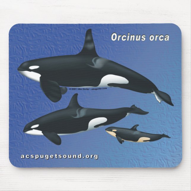 Killer Whale Family Mousepad - blue texture bkg (Front)